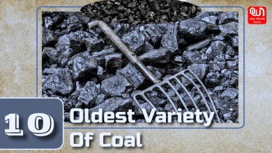 varieties of coal