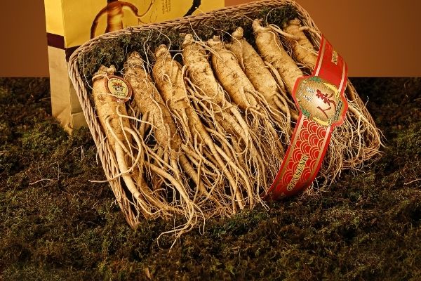 benefits of Ginseng