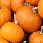 Pumpkin to pamper you - oneworldnews