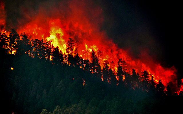 It’s Montana now which declares State of Emergency