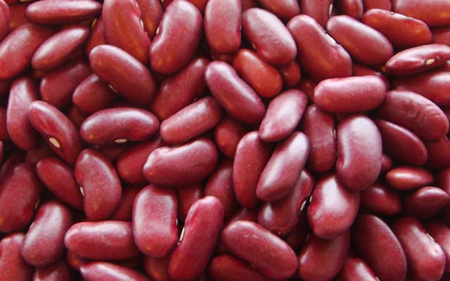 Benefits of Rajma