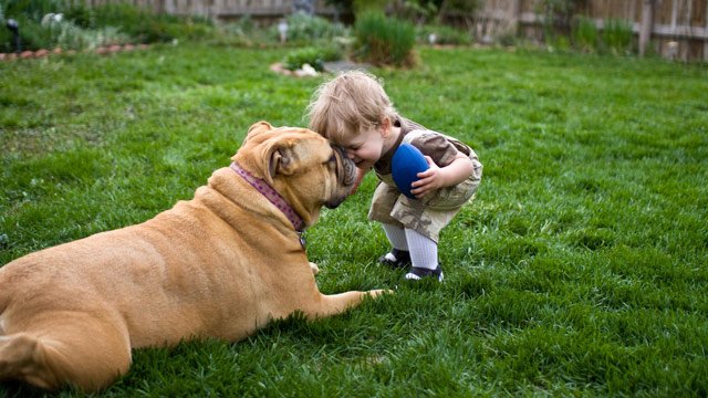 Dog saves the life of a starving toddler in Chile!