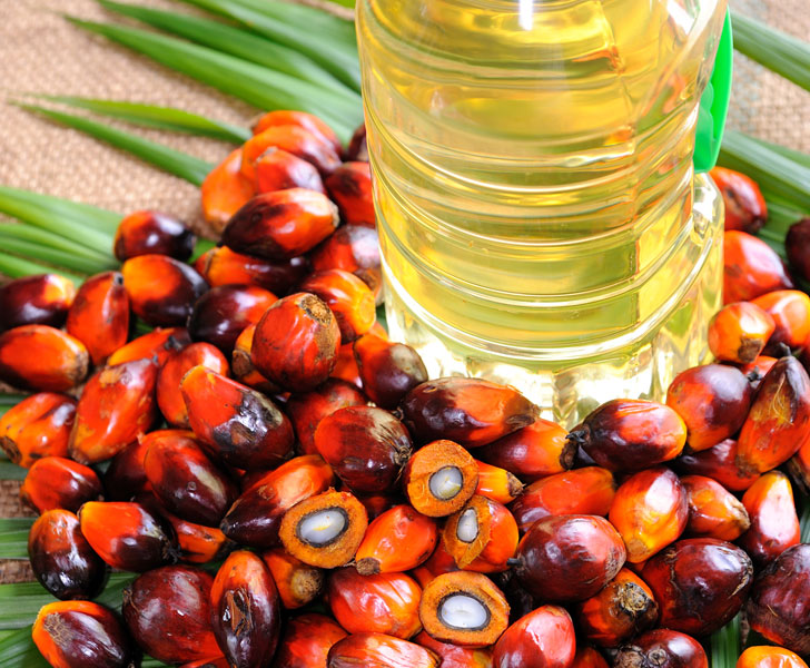 India’s edible oil market recovering