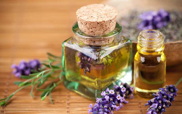 Benefits of Lavender Oil