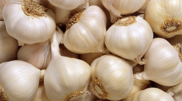 BENEFITS OF GARLIC