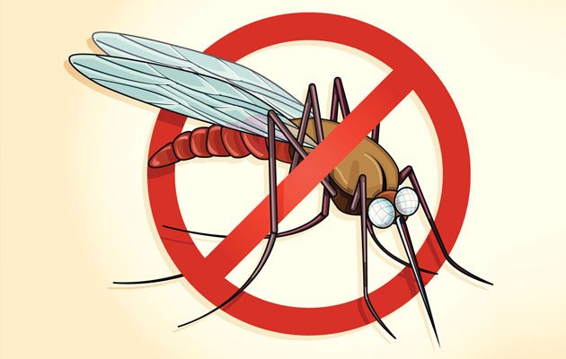 World Malaria Day- Know the disease better