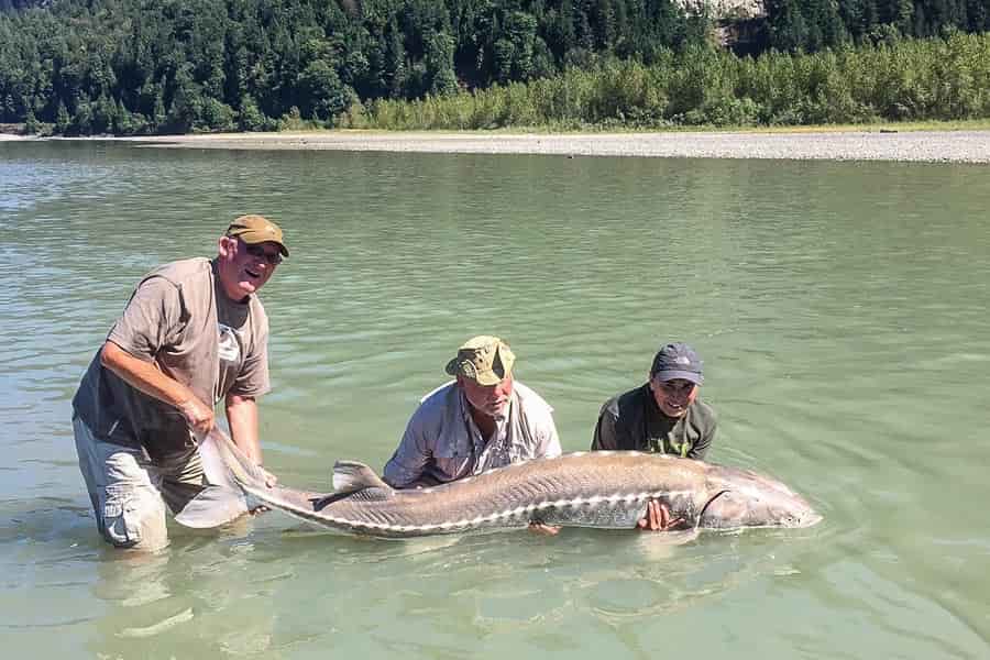 World's largest fishes ever caught, take a look :-One World News