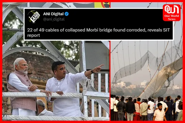 Morbi Bridge Collapse