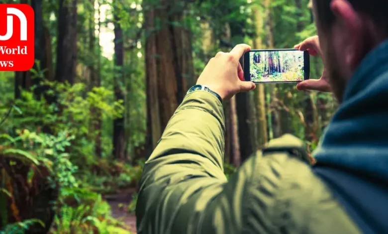 12 simple tips to take perfect photos from your phone