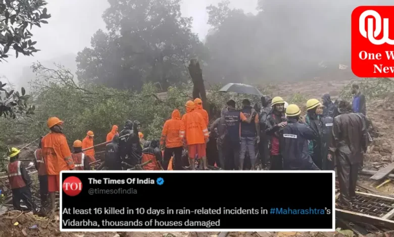 Maharashtra 16 Dead in Vidarbha in 10-day Rain Toll