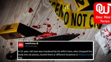 Rajasthan Murder Case Man Chopped into 6 Pieces by Wife's Lover