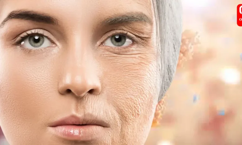 Reverse Aging Is Possible, Says Harvard Scientist