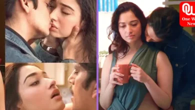 Tamannaah Bhatia and Vijay Varma's HOT Scene In Lust Stories 2