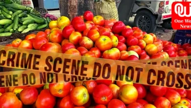 Tomato Crop Guard Murder 2nd Death in Week (1)