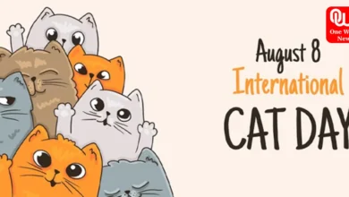 International Cat Day