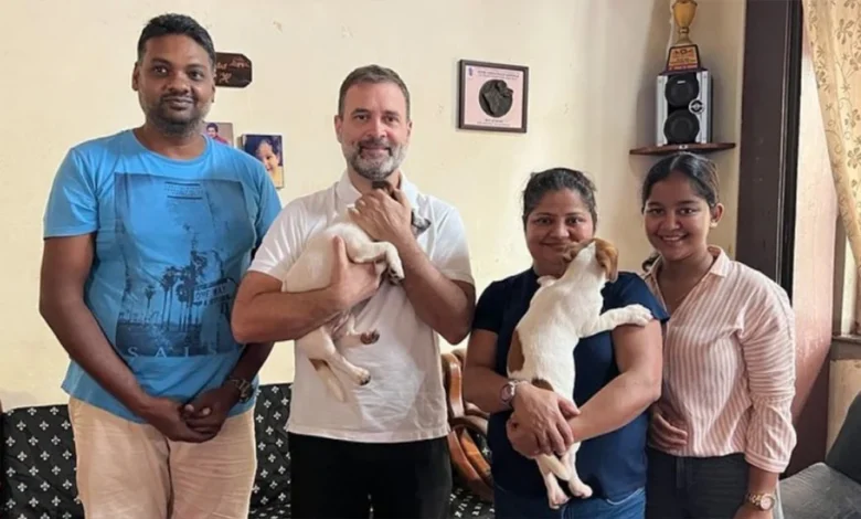 Rahul Gandhi on private visit to Goa, comes home with a puppy
