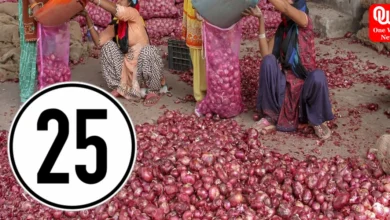 onions to be made available at rs 25 as buffer stock burgeons