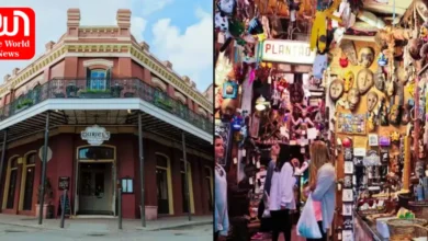 Creepy Crawls The haunted tales of New Orleans