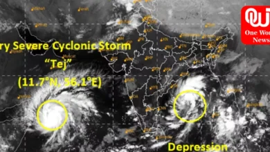 cyclone tej