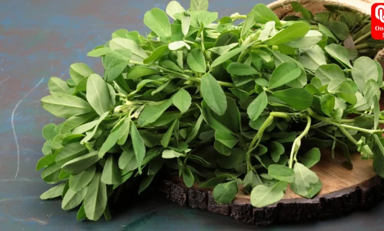 5 Amazing Health Benefits Of Consuming Methi Leaves During Winters