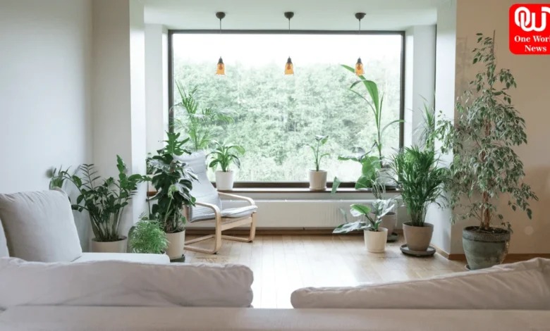 Indoor Smart Gardens