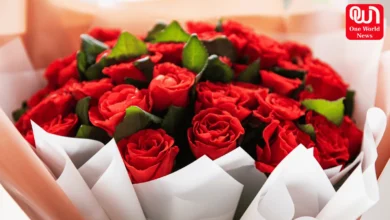 Rose Day 2024