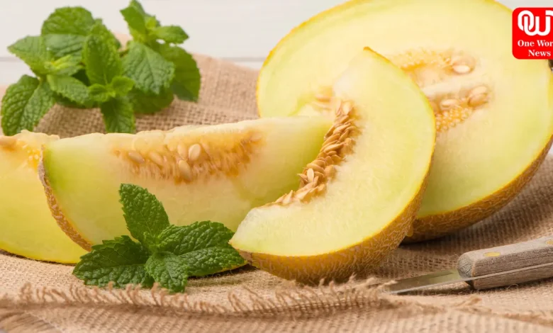Muskmelon Seeds