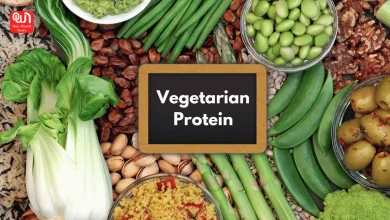 Vegetarian protein sources