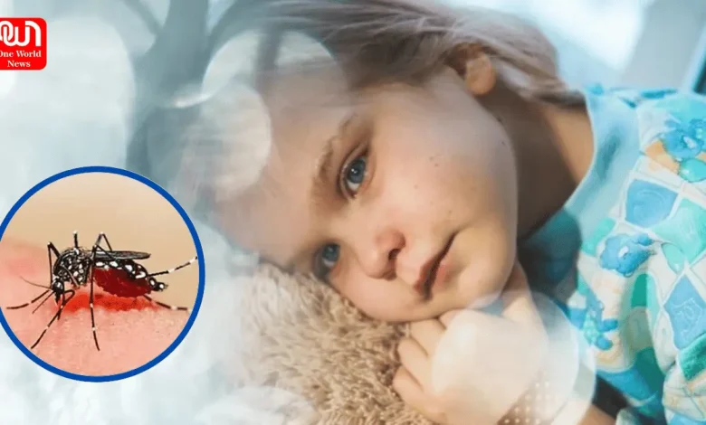 Dengue Cases On Rise