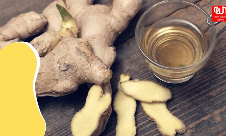 Immunity Booster Monsoon Diet