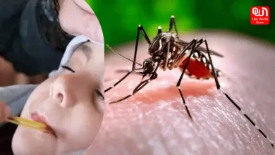 Monsoon Fever vs Dengue