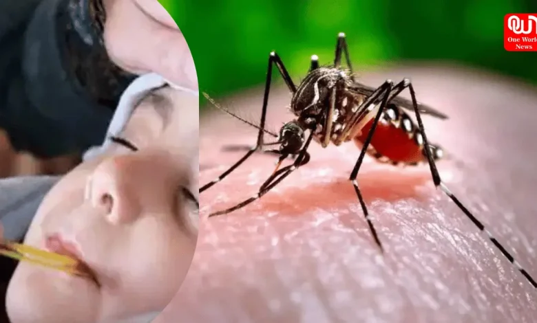 Monsoon Fever vs Dengue