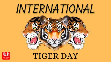 international tiger day 2024