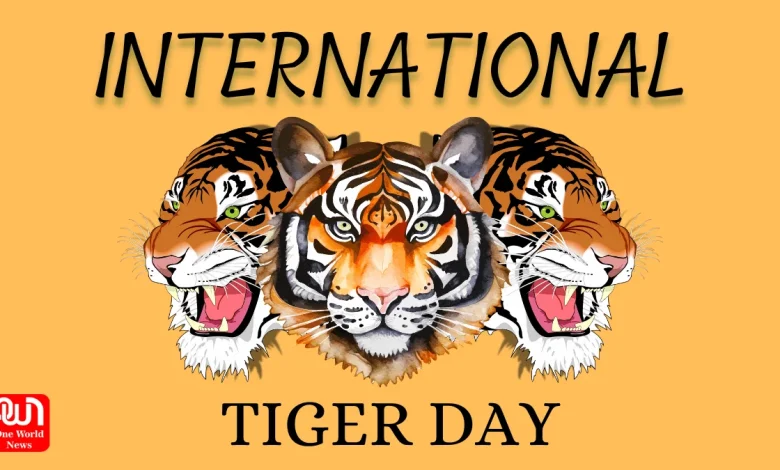 international tiger day 2024