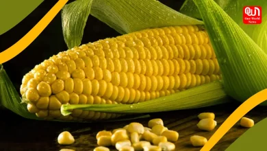 sweet corn benefits