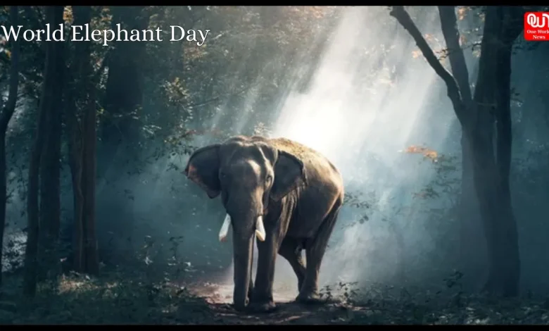 World Elephant Day