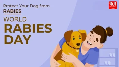 World Rabies Day