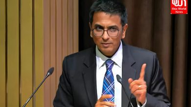 CJI Chandrachud advocates Ayurveda for holistic health