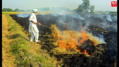 Punjab