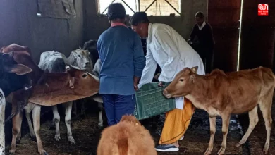 Govardhan Pooja