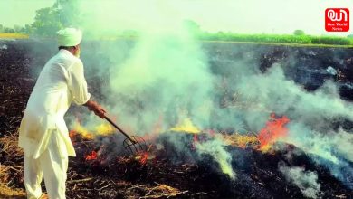 Supreme Court Critiques Centre on Ineffective Stubble Burning Regulations