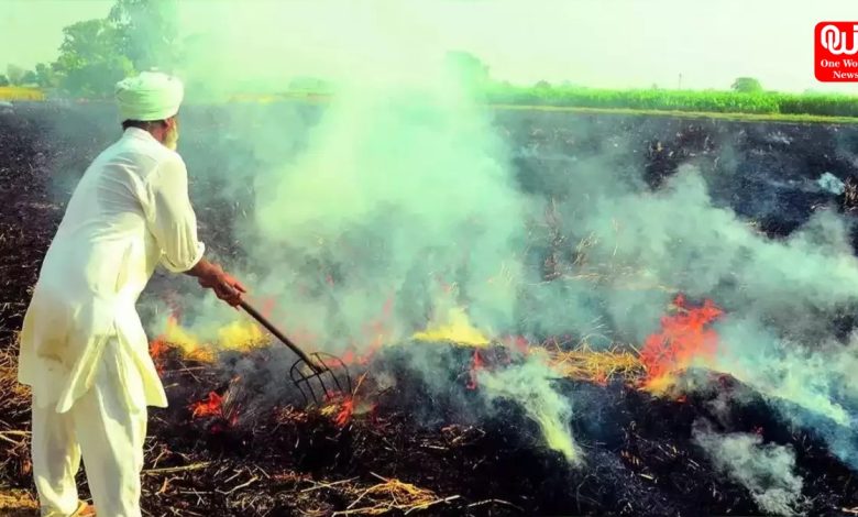 Supreme Court Critiques Centre on Ineffective Stubble Burning Regulations