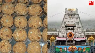 Tirupati Laddu Row