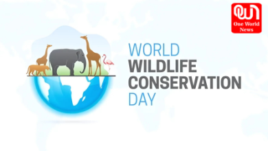 Urban Wildlife Conservation Day