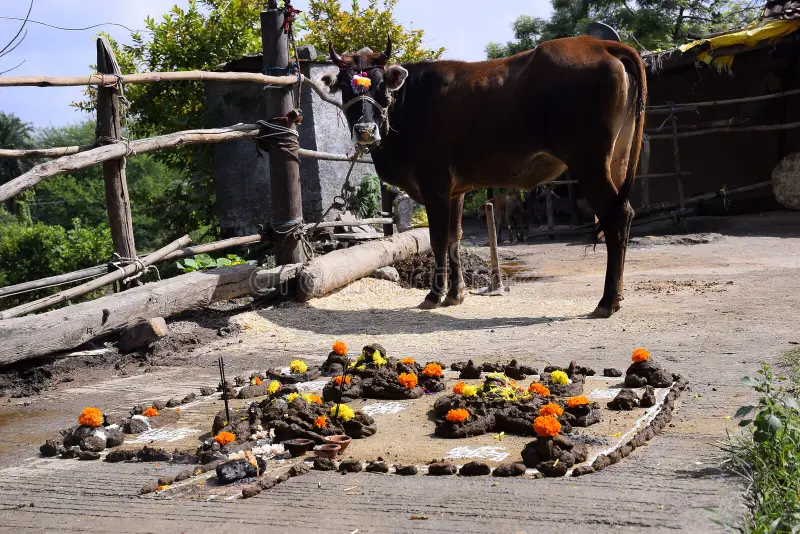 govardhan pooja at up