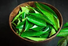 Curry Leaves and Weight Loss How to Use Them Effectively