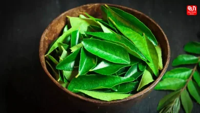 Curry Leaves and Weight Loss How to Use Them Effectively