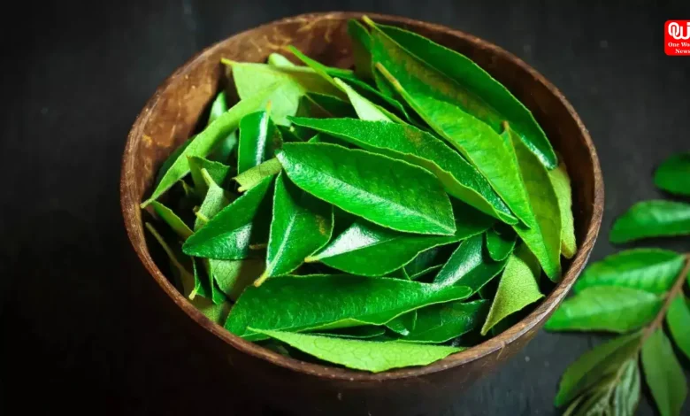 Curry Leaves and Weight Loss How to Use Them Effectively