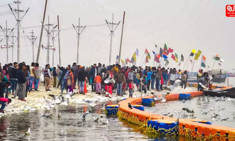 Maha Kumbh Preparations On the Go - 40,000 charging bulbs