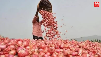 Onion Prices Hit 5-Year High in Delhi and Mumbai, Leaving Consumers Struggling